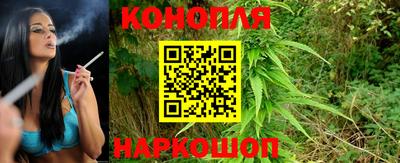 прущие грибы Заводоуковск
