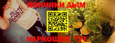 прущие грибы Заводоуковск